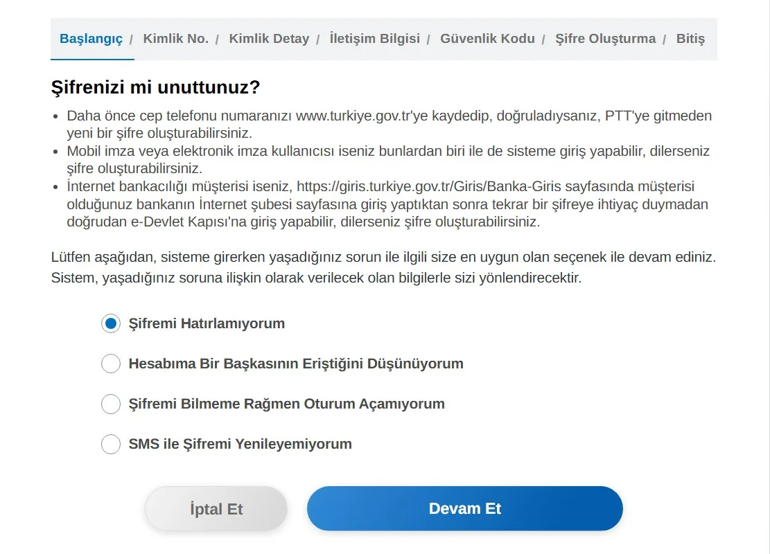 e-Devlet şifre sıfırlama ekranı: Şifre Sorunu Seçin seçenekleri ve işlem adımları