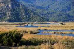 muğla dalyan