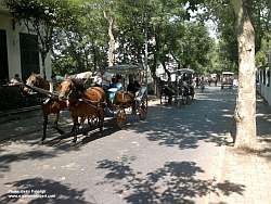 istanbul büyükada