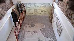 büyük saray mozaikleri müzesi
