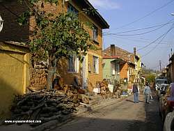 bursa gölyazı