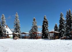 Ilgaz Dağı Milli Parkı