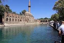 şanlıurfa balıklıgöl